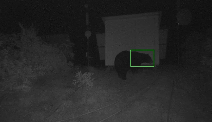 Do Look Down (And Into Corners)