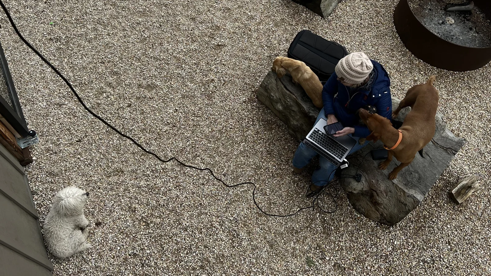 The Welcoming Committee