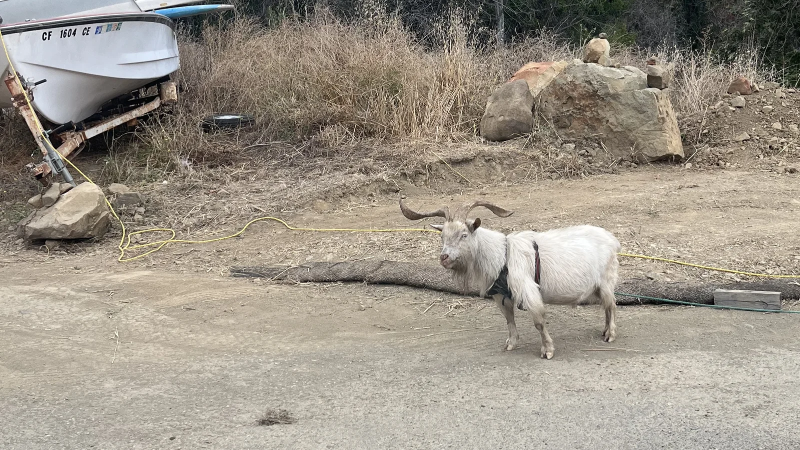 Not Every Call Is a Network Problem